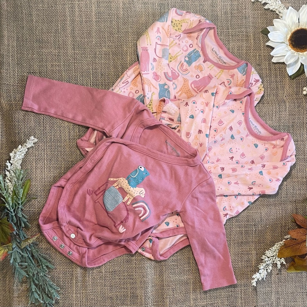 Homegrown Baby Organic Cotton Extendable Animal Motif Bodysuits, Set of 3